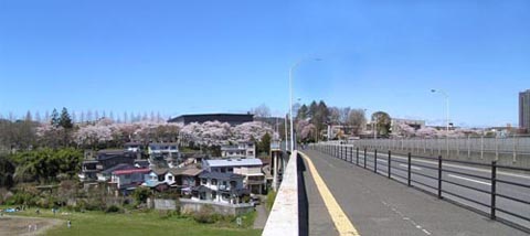 �傫�Ȏʐ^�ɂȂ�܂��B