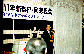 �傫�Ȏʐ^�ɂȂ�܂��B