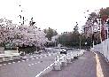 �傫�Ȏʐ^�ɂȂ�܂��B