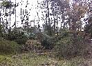 �傫�Ȏʐ^�ɂȂ�܂��B
